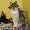 Отзыв от Нинель Козловская